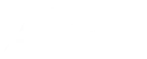 car vision logo.whitepng